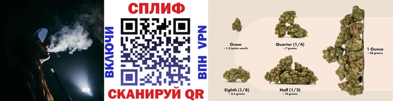 Где продают наркотики Вологда МАРИХУАНА hydra tor Codein АМФ Псилоцибиновые грибы Alpha PVP МЕФ ГАШ БУТИРАТ КОКАИН
