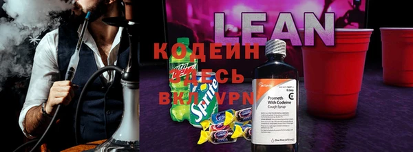 хмурый Верхний Тагил