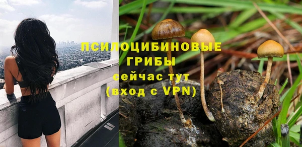 хмурый Верхний Тагил