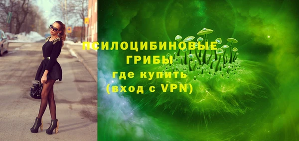 хмурый Верхний Тагил