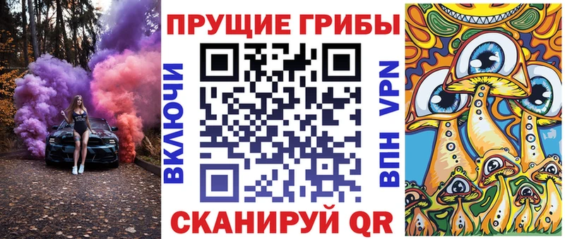 omg ссылка  Вологда  Галлюциногенные грибы прущие грибы 